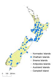 Botrychium biforme distribution map based on databased records at AK, CHR, OTA and WELT. 
 Image: K. Boardman © Landcare Research 2015 CC BY 3.0 NZ